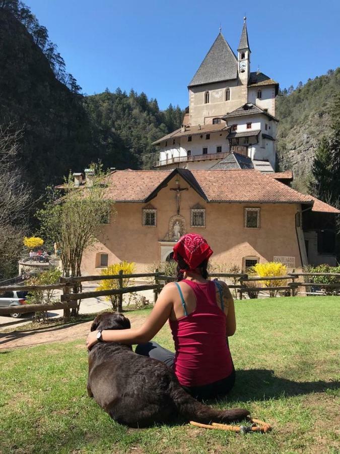 Casa Streberi Lägenhet Castelfondo Exteriör bild