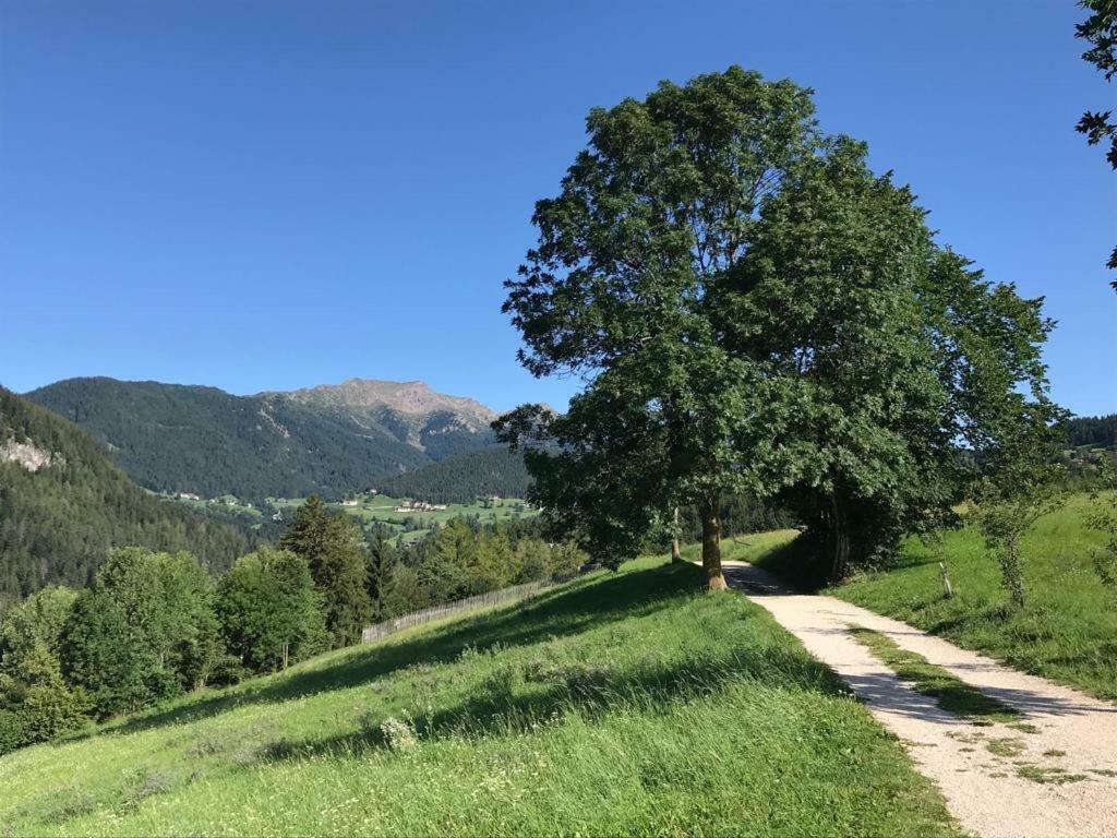 Casa Streberi Lägenhet Castelfondo Exteriör bild